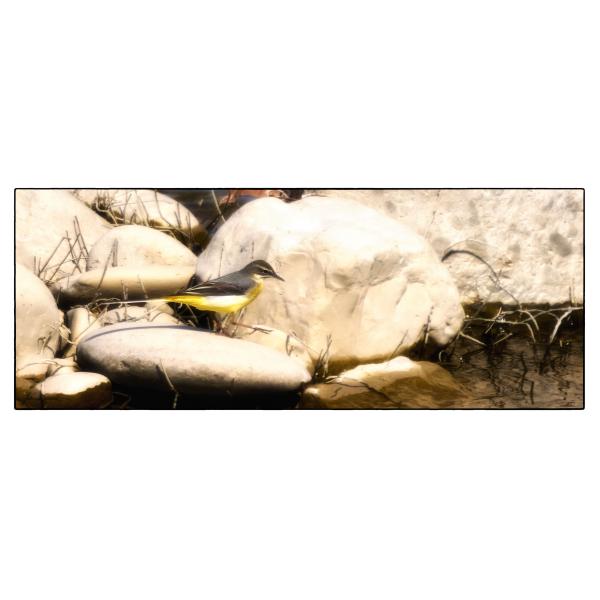 PHOTO84, CLUB, 84 , LUBERON